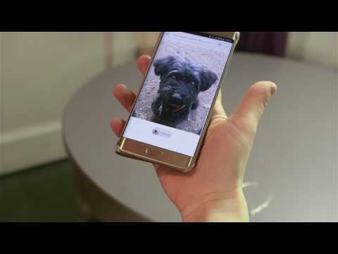 Pawfinity ékszer - QR kód beolvasás