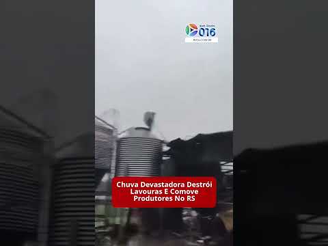 Chuvas Fortes Devastam Vista Alegre RS