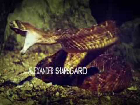 True Blood Introduction ("Bad Things" by Jace Everett) FULL VIDEO and Lyrics