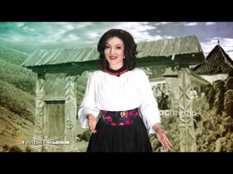 Emisiunea "În culisele neamului" - Festivalul Ion Dolanescu