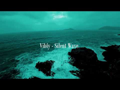 Silent Wave (Official Music Release) Vibfy I Visualizer