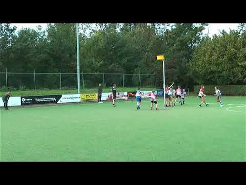 Livestream ZKV de Meervogels