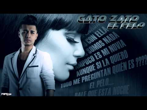 GatoZato - EL PELO [Video Lyric]