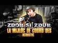 Zdob şi Zdub — La mijloc de Codru des (acoustic live)