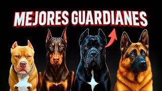 Lo que Nadie te Cuenta Sobre los Mejores Perros Guardianes