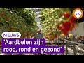 De verkoop van aardbeien loopt als een tierelier