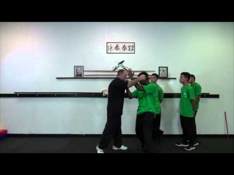 Preview: Lesson 02 - Sil Lum Tao (Part 2) (Larry Saccoia's Applied Wing Chun Course)