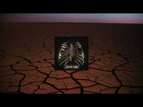 FIANZO - Dartili Haka  (OFFICIEL AUDIO)