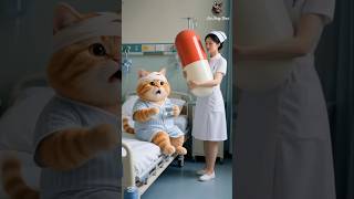 Orange cat kidding the nurse 💉💊 #catstorytamil #catentertainment #shorts #shortsfeed #trending #ai