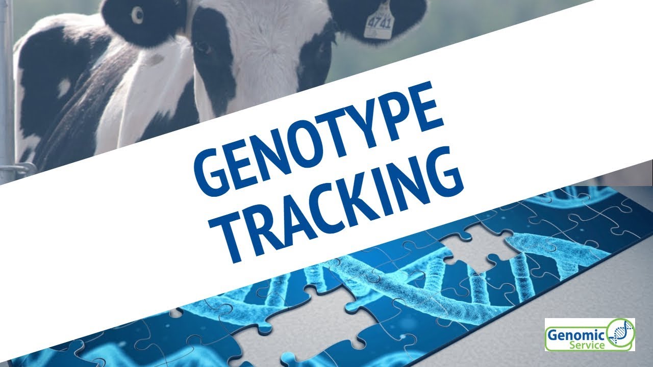 How to track Genomic samples on ICBF
