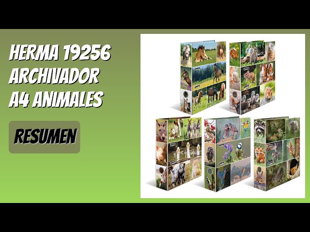 Vídeo relacionado con HERMA Archivador de anillas con palanca Animales con motivo Caballos, A4, 70 mm, con estampado interior, 1 carpeta con motivos