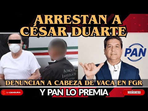Arrestan a #CesarDuarte. Denuncian a #CabezaDeVaca en #FGR y #PAN lo premia. #Sheinbaum #MAÑANERA