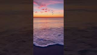 Beautiful view of the sunset at the beach #sunset #beach