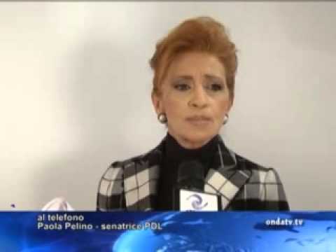 ONDA TG 26.02.2013 - PAOLA PELINO: ELEZIONE SENATO