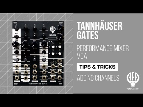 Tannhäuser Gates: Adding Mixer Channels | Eurorack | Animal Factory Amplification