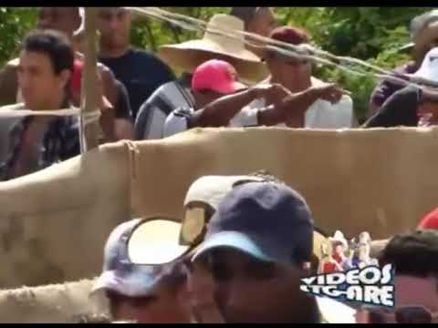 La carrera la chula y la muñeca