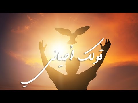 الصبح من العلية (٢٤٧) قولك أحياني
