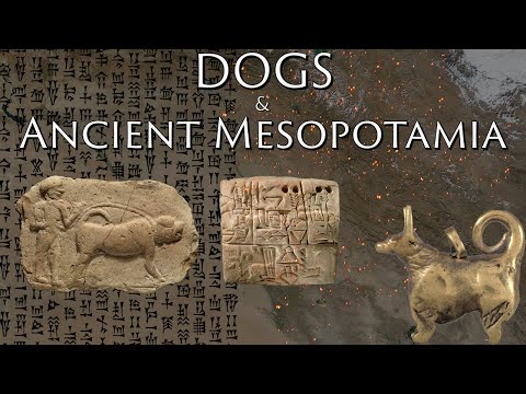 Dogs in Ancient Mesopotamia