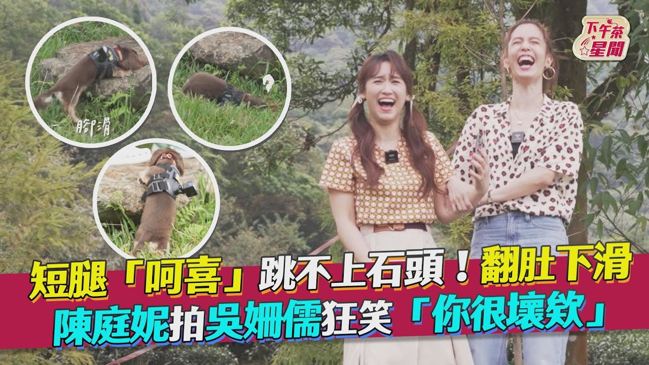 影音/吳姍儒的「短腿呵喜」跳不上石頭 陳庭妮狂笑:很壞欸