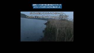 当時シーバス釣り初心者の私がバスタックルでシーバスのボイル打ちに挑みました