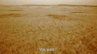 Prairie Dog Counting