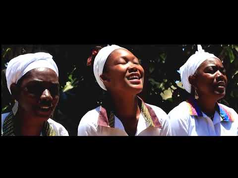 Raiz de Tambarina   Cabo Verde