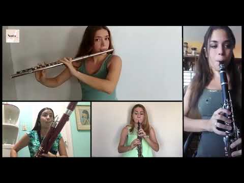 ¡¡¡🎶"Badinerie"- versión INSTRUMENTAL por CUARTETO de viento!!!