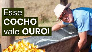 Miniatura do vídeo