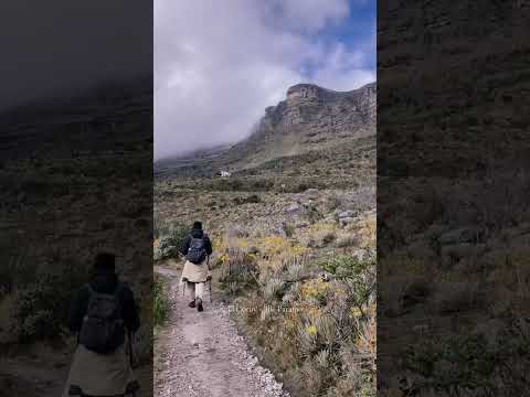 El Cocuy National Park 🏞️  #elcocuy #boyaca #paramo #ecosystem #colombia
