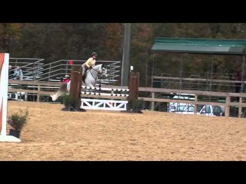 Hard to Beat this one Children/Adult packer Jumper pony sold