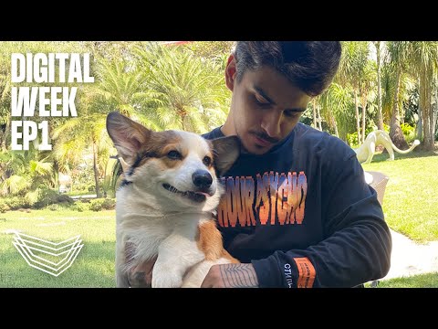 Vintage Culture @ Digital Week EP1  |  @vintageculture