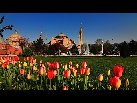 Surah Suad Beautiful and Heart touching recitation