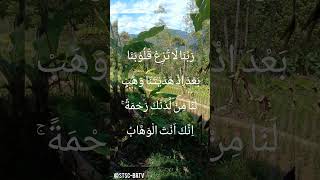 Download lagu h.chumaidi hambali #tilawah #shorts #chumaidi #muammar mp3