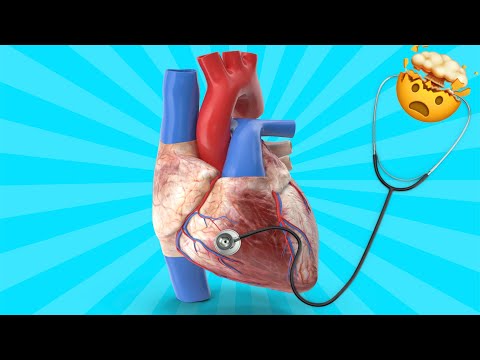 Name that heart sound quiz ! Can You Identify All 9?