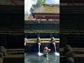 Wanita Cantik Sedang Mandi Di Tirta Empul Temple Bali