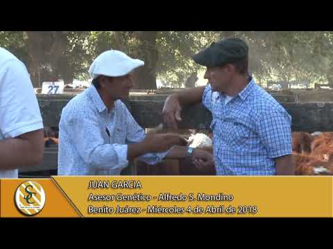 04-04-18 Nota Juan Garcia - Alfredo S. Mondino "Rusticos del destete" - Benito Juarez