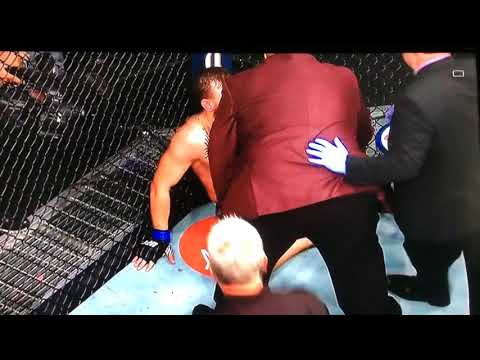UFC 229 kahbib v mcgregor brawl outside/ inside octagon