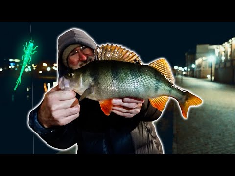 Perch: THIS is how it works, even at night! (Technique, Bait & Color)