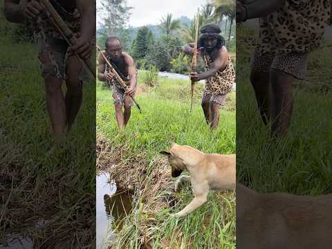 Hunting with dog🤣 #fypシ゚viral