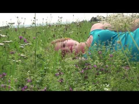 Born for this - Mandisa MUSIC VIDEO