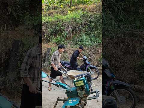 #shortvideo #funny