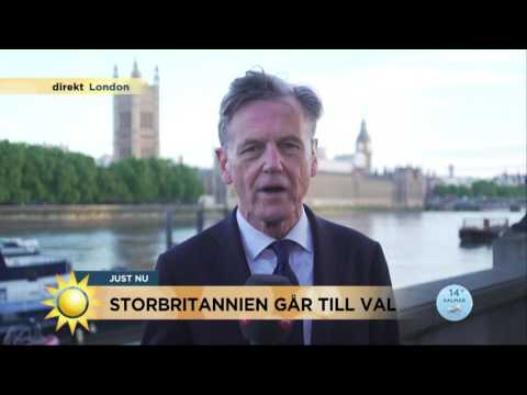 Rysarval i Storbritannien: ”Kan bli oerhört jämt”  - Nyhetsmorgon (TV4)