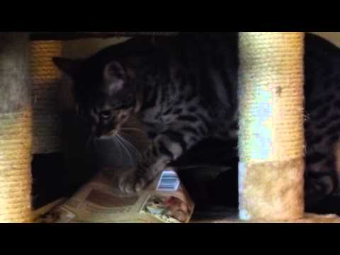 Keisha waiting to go outside