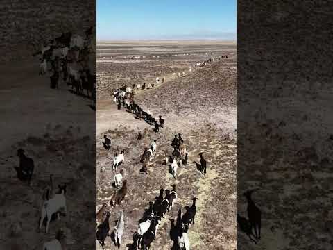 #sanpedrodeatacama #antofagasta #chile 20/09/26