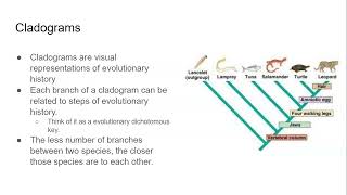 8.4 Cladograms and Phylogenetic Trees
