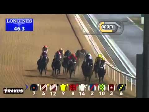 20.11.2014 Meydan (Dubai-UAE) 1.Race Dubai Duty Free Finest Surprise - Maiden 1.600 m