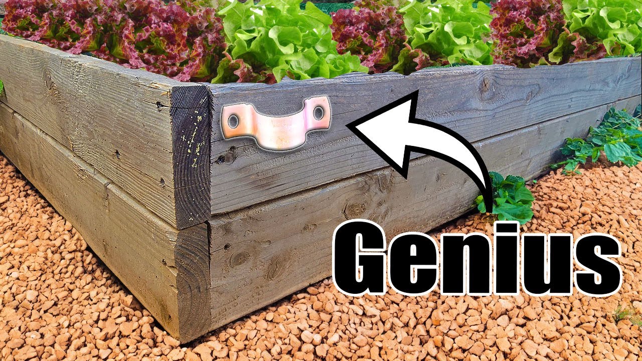 7 Raised Bed Gardening Hacks You’ll Wish You Knew Sooner