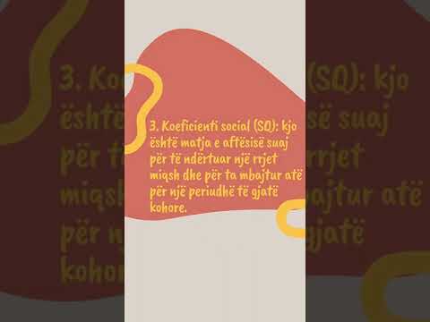 4 llojet e inteligjencave