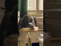 Study Pressure On Students Exampressure Study Stress