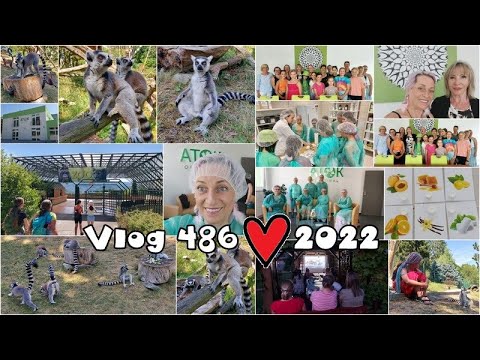 Vlog 486/22 - výlet, ATOK, ZOO, lemuři aj.